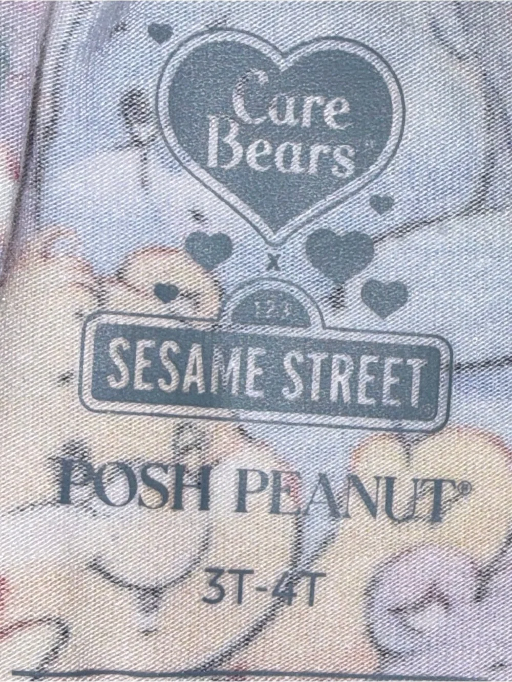 Posh Peanut Care Bears X Sesame Street 2 pc set sz 3-4 NWT